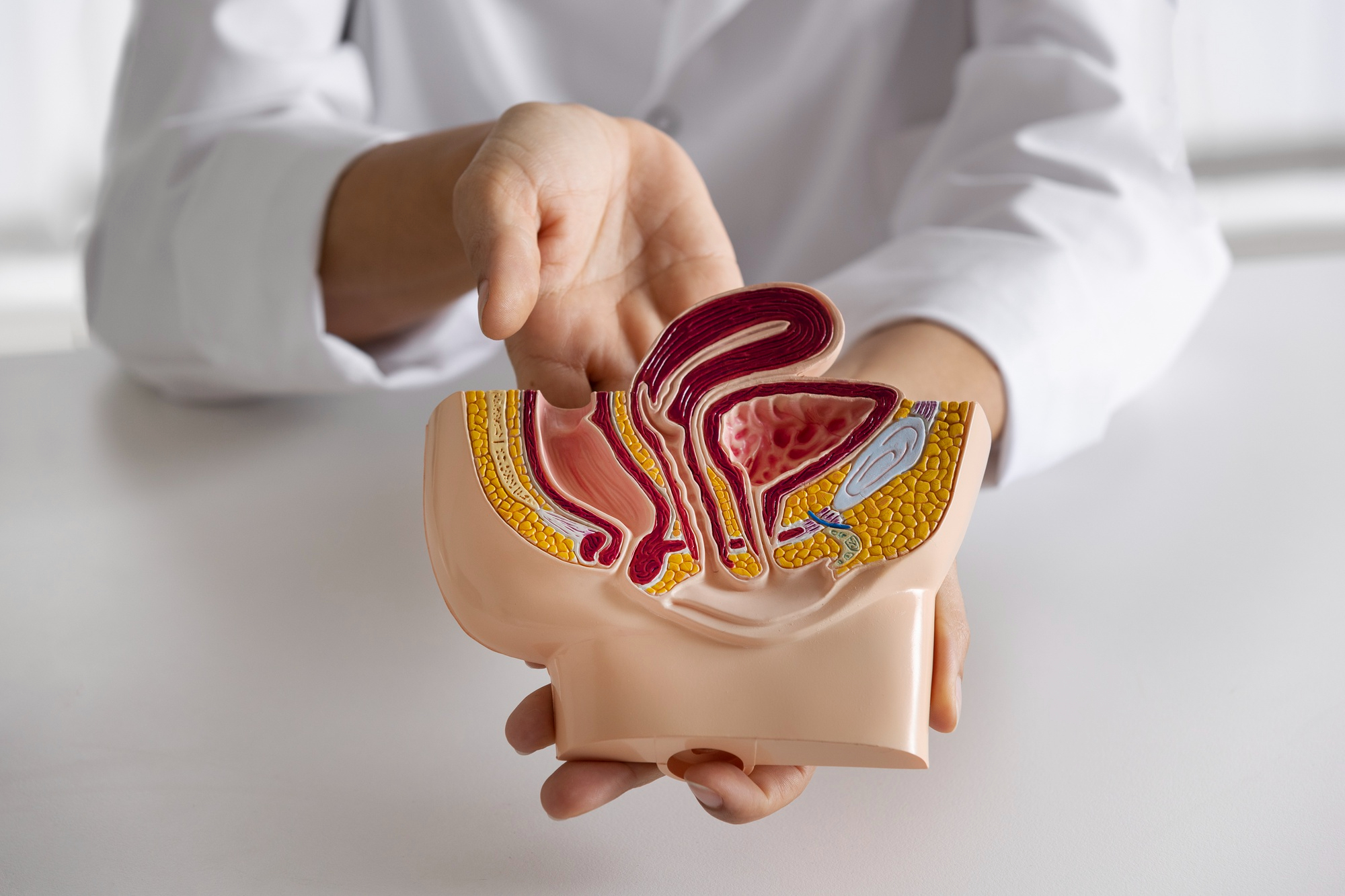 Proctologia